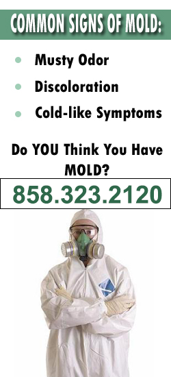 San Diego Mold Remediation Contractor